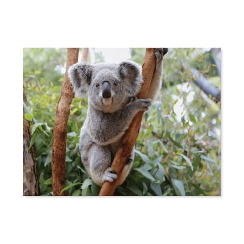 GSBRSNTS Diamond Painting，Cute Animal Koala，Crystal Embroidery Beads 5D Full Round Cross Stitch Kit Handwork Mosaic（50 x 60 cm/19.68 x 23.62 Zoll）-E91 von GSBRSNTS