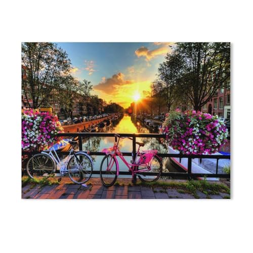 GSBRSNTS Diamond Painting，Fahrräder, Blumen，DIY 5d Diamant Painting Bilder, Diamant malerei Kits Malen nach Zahlen Wohnzimmer Bilder für die Inneneinrichtung（40 x 50 cm/15.74 x 19.68 Zoll）-S14 von GSBRSNTS