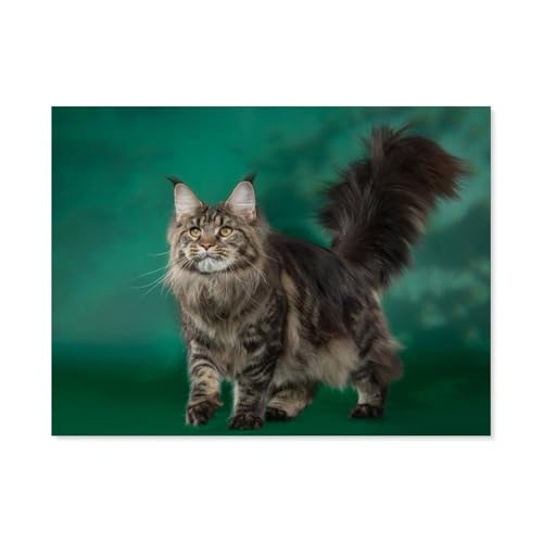 GSBRSNTS Diamond Painting，Maine-Coon-Katze，Crystal Embroidery Beads 5D Full Round Cross Stitch Kit Handwork Mosaic（30 x 40 cm/11.81 x 15.74 Zoll）-F11 von GSBRSNTS