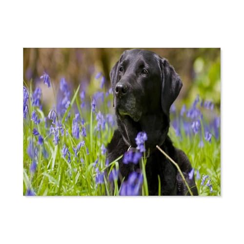 GSBRSNTS Diamond Painting，Schwarzer Labrador-Welpe unter Blumen，Diamant Malerei Kunst Stickerei Kreuzstich Bilder Geschenk Wanddekoration（50 x 60 cm/19.68 x 23.62 Zoll）-B10 von GSBRSNTS