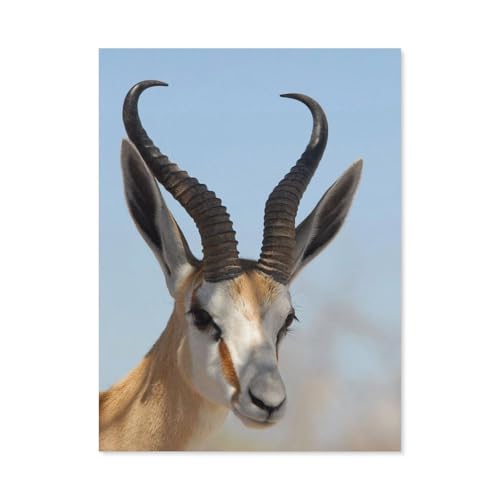 GSBRSNTS Diamond Painting，Tiere Antilope，DIY 5d Diamant Painting Bilder, Diamant malerei Kits Malen nach Zahlen Wohnzimmer Bilder für die Inneneinrichtung（50 x 60 cm/19.68 x 23.62 Zoll）-A97 von GSBRSNTS