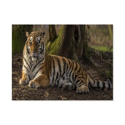 GSBRSNTS Diamond Painting，Tiger，Crystal Embroidery Beads 5D Full Round Cross Stitch Kit Handwork Mosaic（40 x 50 cm/15.74 x 19.68 Zoll）-G31 von GSBRSNTS