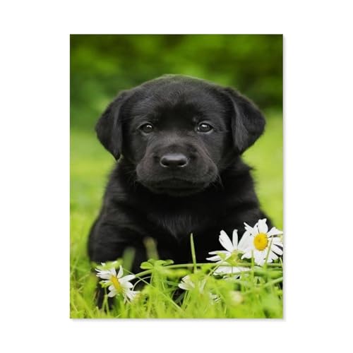 GSBRSNTS Diamond Painting，schwarzer Labrador，Diamant Malerei Kunst Stickerei Kreuzstich Bilder Geschenk Wanddekoration（50 x 60 cm/19.68 x 23.62 Zoll）-F10 von GSBRSNTS