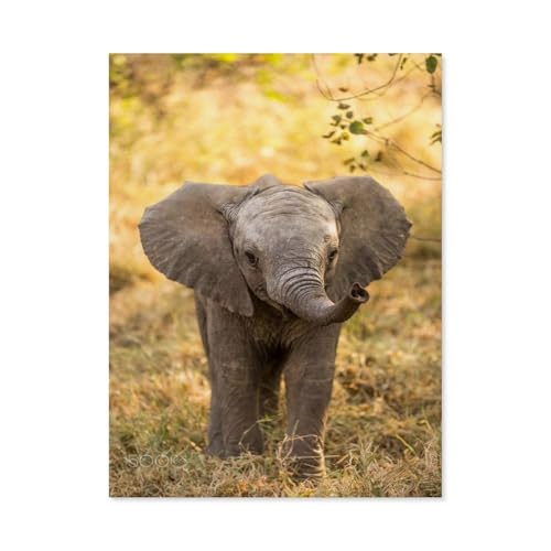 GSBRSNTS Elefant Animal，Full Round Diamond 5D DIY Diamond Painting 3D Stickerei Kreuzstich Mosaik Gemälde Dekor（30 x 40 cm/11.81 x 15.74 Zoll）-E82 von GSBRSNTS