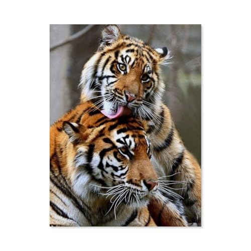 GSBRSNTS Full Round Drill 5d DIY Diamond Painting，Tigerpaar，Diamond Embroidery Wall Home Decoration Kids Gift（30 x 40 cm/11.81 x 15.74 Zoll）-A80 von GSBRSNTS