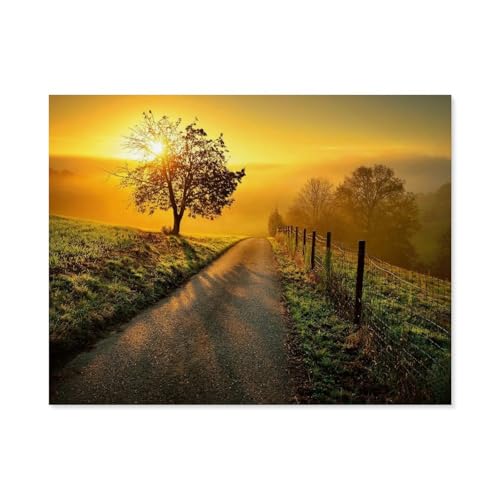 GSBRSNTS Landschaft in Morgensonne，Malen Nach Zahlen-Ölgemälde Geschenk Für Erwachsene Kinder Malen Nach Zahlen Kits Home Haus Dekor(50x60cm-A37 von GSBRSNTS