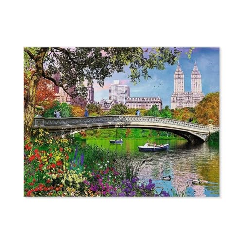 GSBRSNTS Malen Nach Zahlen Erwachsene，Central Park, New York，Malen Nach Zahlen Mit Pinseln und Acrylfarbe,DIY Set Basteln Erwachsene mit Pinseln und Acrylfarben für Home Decor(20x30cm-D67 von GSBRSNTS