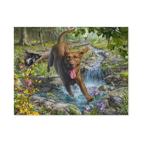 GSBRSNTS Malen nach Zahlen，Frühlingsspaziergang mit Labrador Retriever，diy malen nach zahlen erwachsene landsch Mit Pinsel und Acrylfarbe Kits Theme Digital Home Wall Artwork(20x30cm-E86 von GSBRSNTS