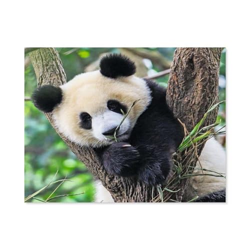 GSBRSNTS Malen nach Zahlen，Panda，diy malen nach zahlen erwachsene landsch Mit Pinsel und Acrylfarbe Kits Theme Digital Home Wall Artwork(20x30cm-A86 von GSBRSNTS