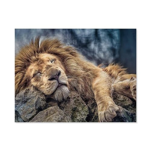 GSBRSNTS Malen nach Zahlen，Sleeping Lion，diy malen nach zahlen erwachsene landsch Mit Pinsel und Acrylfarbe Kits Theme Digital Home Wall Artwork(30x40cm-D86 von GSBRSNTS