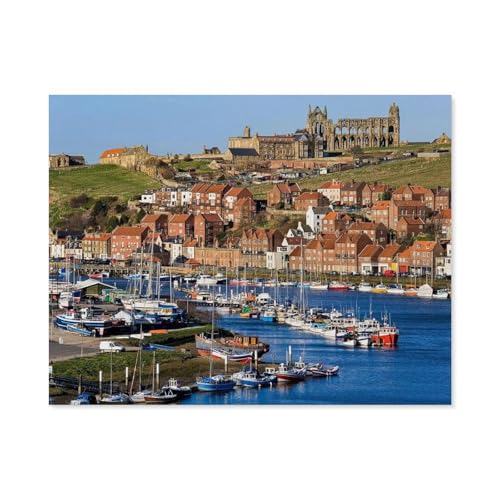 GSBRSNTS Malen nach Zahlen，Whitby Abbey Ruins，diy malen nach zahlen erwachsene landsch Mit Pinsel und Acrylfarbe Kits Theme Digital Home Wall Artwork(30x40cm-B86 von GSBRSNTS