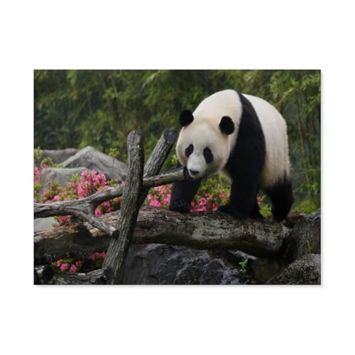 GSBRSNTS Panda，Full Round Diamond 5D DIY Diamond Painting 3D Stickerei Kreuzstich Mosaik Gemälde Dekor（50 x 60 cm/19.68 x 23.62 Zoll）-G42 von GSBRSNTS