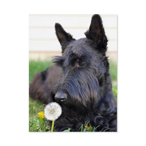 GSBRSNTS Round Diamond 5D DIY，Schwarzer Hund Scottish Terrier，5d DIY Diamant Malerei Kreuzstich Mosaik Strass Home Decoration（50 x 60 cm/19.68 x 23.62 Zoll）-F5 von GSBRSNTS