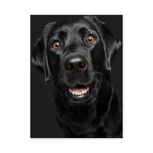 GSBRSNTS Schwarzer Labrador-Hund，DIY Diamant Stickerei volle Round Bohrer 5d DIY Diamant malerei mosaik dekoration（50 x 60 cm/19.68 x 23.62 Zoll）-B3 von GSBRSNTS