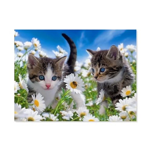 GSBRSNTS Süß Katze Weiß Blumen Tiere，Diamant-Malerei-Sets für Erwachsene – 5D-Diamant-Malerei-Kit, Vollbohrer Diamant-Kunst-Kits für Zuhause Wanddekoration（30 x 40 cm/11.81 x 15.74 Zoll）-E1 von GSBRSNTS