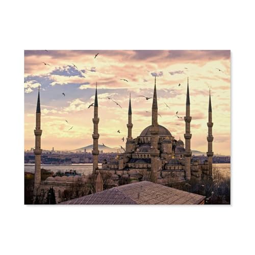 GSBRSNTS Türkei Istanbul，Full Round Diamond 5D DIY Diamond Painting 3D Stickerei Kreuzstich Mosaik Gemälde Dekor（30 x 40 cm/11.81 x 15.74 Zoll）-D62 von GSBRSNTS