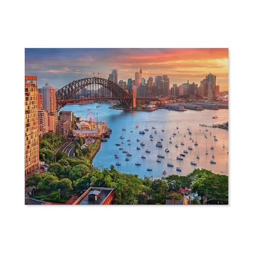 Malen Nach Zahlen ，Australia,Malerische Bucht,Sydney, Australien，Malen Nach Zahlen Mit Pinseln und Acrylfarbe,DIY Set Basteln Erwachsene mit Pinseln und Acrylfarben für Home Decor(40x50cm）-D47 von GSBRSNTS