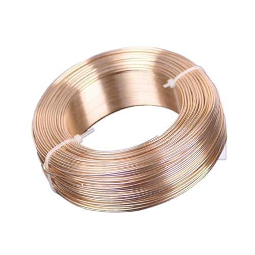 GSCLZ Aluminiumdraht 1 große Rolle 0,8 mm/1 mm/1,5 mm/2 mm/2,5 mm/3,0 mm Aluminium-Weichmetalldraht for Basteln von Schmuck for Selbermachen(Light Gold Color,2.0mm (47 Meters)) von GSCLZ