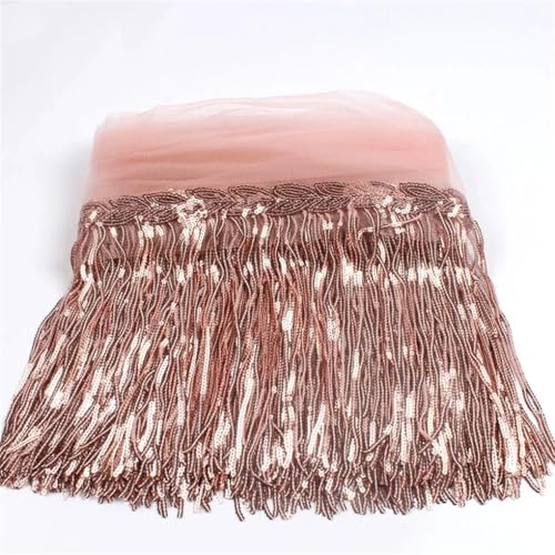 Fransenbesatz，Tanzkostüm Fransenbesatz 20 cm x 10 Yards Bunte Pailletten Quaste Spitze Trim Glitter Fringe Band Dance Performance DIY Dekoration Kleidung Nähen Fransen(Champagne) von GSHUPIOU