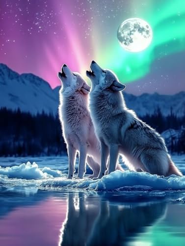 DIY 5D Diamond Painting Aurora, Diamond Painting Erwachsene Wolf Diamant Painting Bilder, Diamond Painting Runde Steine, Basteln Erwachsene Malerei für Zimmer Deko Wohnzimmer, Geschenk 25x35 cm G-606 von GUKUGEKO