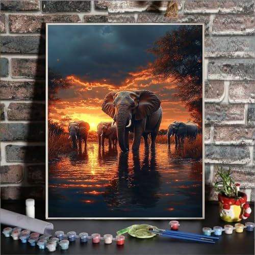 Malen Nach Zahlen Erwachsene Elefant, Paint by Numbers Himmel DIY mit Pinseln und Acrylfarben Handgemalt öLgemäLde Leinwand für Kreative Heimdekoration Geschenke für Frauen, Ohne Rahmen 20 x 30cm 93-0 von GUKUGEKO