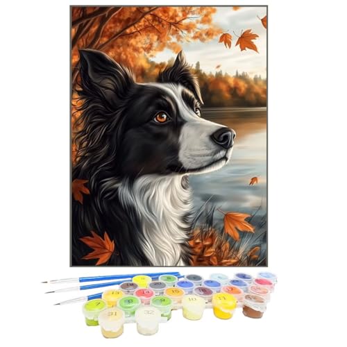 Malen Nach Zahlen Herbst, Malen Nach Zahlen Kinder Hund, DIY Paint by Numbers Adult AnfäNger Handgemalt öLgemäLde Kit Bastelset mit Pinseln und Acrylfarben für Home Decor, Ohne Rahmen 30x40cm 51-G von GUKUGEKO