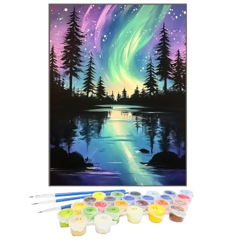 Malen Nach Zahlen Polarlicht, Malen Nach Zahlen Kinder Baum, DIY Paint by Numbers Adult AnfäNger Handgemalt öLgemäLde Kit Bastelset mit Pinseln und Acrylfarben für Home Decor, Ohne Rahmen 30x40cm CL-S von GUKUGEKO