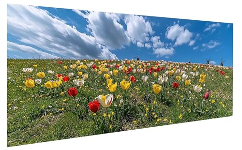 Wolke Malen Nach Zahlen Erwachsene, Malen Nach Zahlen Blume Malen Nach Zahlen ab 11 Jahre Mädchen, DIY Bastelset Erwachsene Anfänger Acrylfarben Painting für Home Decor, Rahmenlos 60x120 cm W-7367 von GUKUGEKO