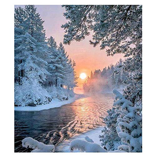 GUOCU 5D DIY Diamant Painting Bilder Voll Set Winterlandschaft Muster Crystal Strass Stickerei Painting Diamond Dekoration für Home Wall Décor 40 * 50cm (Rundbohrer) von GUOCU