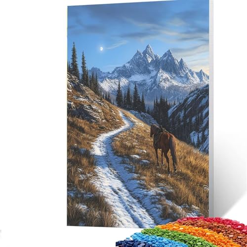 5D Diamond Painting Kinder Schneeberg, Diamond Painting Erwachsene Horse Bastelset Erwachsene Malen nach Zahlen mit Diamant 100x135 cm, Crystal Art Kreatives für Mädchen, Geschenke für Frauen F/556-8 von GUUOYUAL