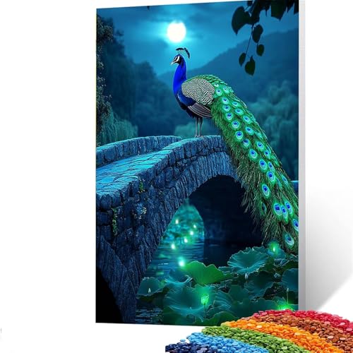 5d Diamond Painting Zubehör Pfau, DIY Set Erwachsene Full Dril Landschaft Diamant Painting Bilder,Malen Nach Zahlen 30x40cm Bastelset Kinder Ab 6 Jahre Crystal art leinwand zum Bemalen, Wand Deko E/59 von GUUOYUAL