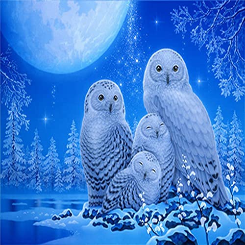 GWYDYB DIY 5D Diamond Painting Set - Tier Schneeeule - Stickerei Kreuzstich Strass Bilder Kunst Wanddekoration 40×50cm von GWYDYB