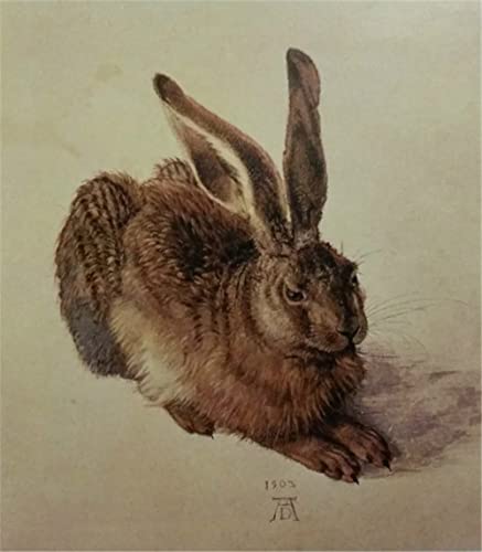 GWYDYB Dürers berühmtes Gemälde Hase - DIY 5D Diamond Painting Kits Stickerei Strass Kunst Dekoration Geschenke 30×40cm von GWYDYB