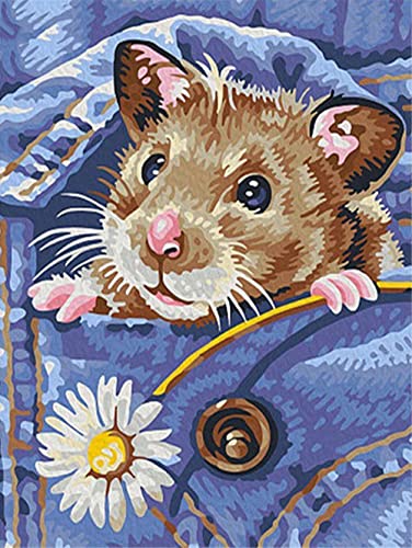 GWYDYB Erwachsene Kinder Malen nach Zahlen DIY Ölgemälde Kit Kreatives Home Art Decor - Haustier Hamster 40×50cm von GWYDYB