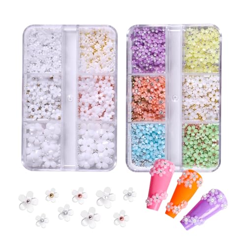 GZSYY Nail Charms 3d Blumen Nägel Strasssteine 2 Boxen Nägel Glitzersteine Nägel Perlen für Nägel für Nagel Dekoration von GZSYY