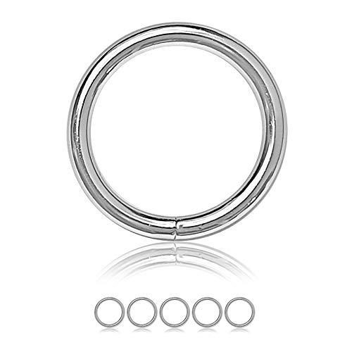 Ganzoo O-Ring Metall für Hunde-Leine, 32mm Innen-Durchmesser, 5 Stück, Stahlring, legierter Stahl, nicht rostend, Rund-Ringe für Paracord 550 Halsband, Handtasche, Metallring, Basteln, Farbe Silber von Ganzoo