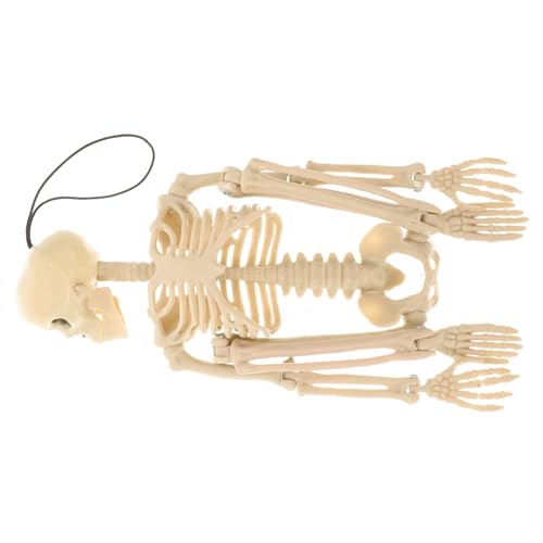 Garneck 1 Stück Halloween Skelett Deko Bewegliche Gruselige Halloween Dekoration für Spukhaus Party Lustiges Skelett Ornament für Schaurige Szenen Garneck 1 Stück Halloween Skelett Deko Bewegliche Gruselige Halloween Dekoration für Spukhaus Party Lustiges Skelett Ornament für Schaurige Szenen von Garneck