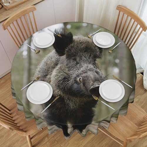 GaxfjRu Wildschwein-Tischdecke aus Polyester, wasserdicht, waschbar, wiederverwendbar, für Restaurants, Küchen, Hochzeiten, Partys usw. von GaxfjRu