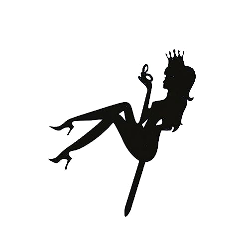 10 Stück High Heel Girl Cake Topper, Acryl Kuchen Picks Dame Silhouette Kuchendekoration Kuchen Aufsatz Topper Tortenstecker Deko für Cupcake Party Dessert von Generic