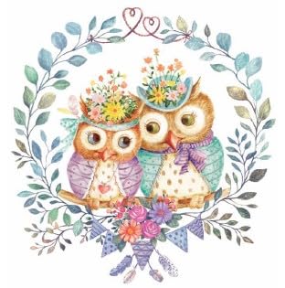 20 Stück 6,5 Vogel Servietten Dekorative Servietten für Decoupage Servietten mit Eulen Vogel Papierservietten Valentine Servietten Eule Paar Servietten Valentinstag Servietten mit Eulen Schöne von Generic