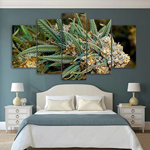 5-Teiliges Wandbild, Marihuana-Unkraut Kunstdruck Auf Leinwand 5 Aufeinanderfolgende Gemälde Hd Poster Kunst Wanddekoration Moderne Dekoration Für Wohnzimmer Zuhause Xxl/200 X 100 Cm von Generic