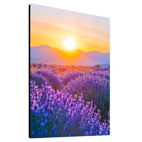 5D Diamond Painting Blume mit Diamond Painting Zubehör Set, Diamant Malen Nach Zahlen Natur, Diamant Cross Stitch Stickerei Bastelset Erwachsene für Deko Wohnzimmer und Geschenke 90x120 cm model-20119 5D Diamond Painting Blume mit Diamond Painting Zubehör Set, Diamant Malen Nach Zahlen Natur, Diamant Cross Stitch Stickerei Bastelset Erwachsene für Deko Wohnzimmer und Geschenke 90x120 cm model-20119 von Generic