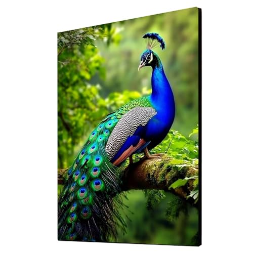 5D Diamond Painting Pfau Vollbohrer Diamant Malen Nach Zahlen Tier mit Diamond Painting Zubehör Set, Diamant Cross Stitch Stickerei Bastelset Erwachsene für Deko Wohnzimmer 50 x 70 cm 1ZSH-20875 5D Diamond Painting Pfau Vollbohrer Diamant Malen Nach Zahlen Tier mit Diamond Painting Zubehör Set, Diamant Cross Stitch Stickerei Bastelset Erwachsene für Deko Wohnzimmer 50 x 70 cm 1ZSH-20875 von Generic