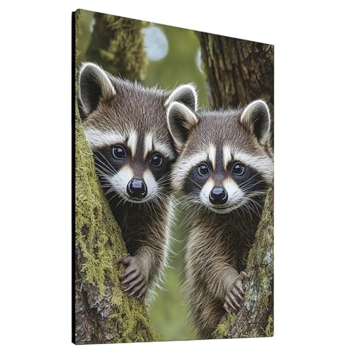 5D Diamond Painting Waschbär mit Diamond Painting Zubehör Set, Diamant Malen Nach Zahlen Tier, Diamant Cross Stitch Stickerei Bastelset Erwachsene für Deko Wohnzimmer, Geschenke 90x120cm model/-13689 5D Diamond Painting Waschbär mit Diamond Painting Zubehör Set, Diamant Malen Nach Zahlen Tier, Diamant Cross Stitch Stickerei Bastelset Erwachsene für Deko Wohnzimmer, Geschenke 90x120cm model/-13689 von Generic