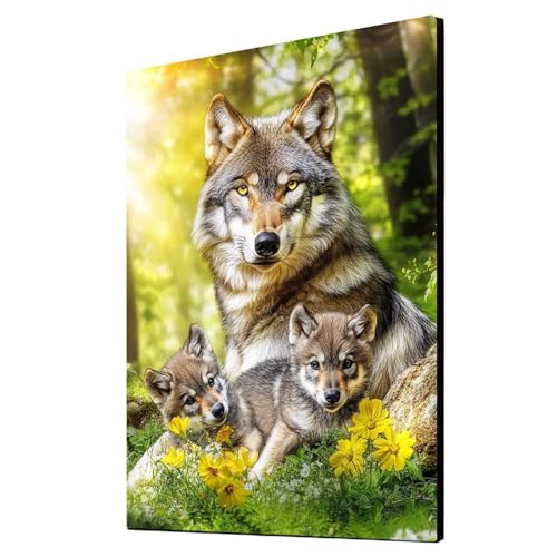 5D Diamond Painting Wolf Vollbohrer Diamant Malen Nach Zahlen Tier mit Diamond Painting Zubehör Set, Diamant Cross Stitch Stickerei Bastelset Erwachsene für Deko Wohnzimmer 35x50 cm 1ZSH- 12763 5D Diamond Painting Wolf Vollbohrer Diamant Malen Nach Zahlen Tier mit Diamond Painting Zubehör Set, Diamant Cross Stitch Stickerei Bastelset Erwachsene für Deko Wohnzimmer 35x50 cm 1ZSH- 12763 von Generic