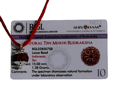 Aashita Creations 10 Mukhi Rudraksha Made in Silber Metall (Lab zertifiziert) 13-18mm Rudraksha Durchmesser von Generic