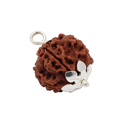 Aashita Creations 5 Mukhi Nepali Rudraksha Five Face Mantra Siddha Rudraksh mit Laborzertifikat von Generic