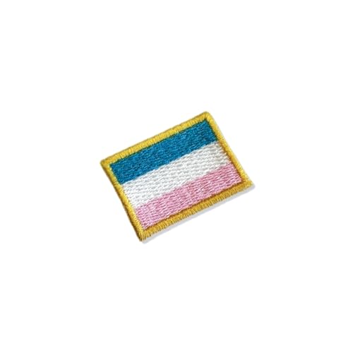 BE0031-031 Espirito Santos Brasilien bestickte Flagge Patch 3,8 x 2,5 cm (A) zum Bügeln oder Nähen von Generic