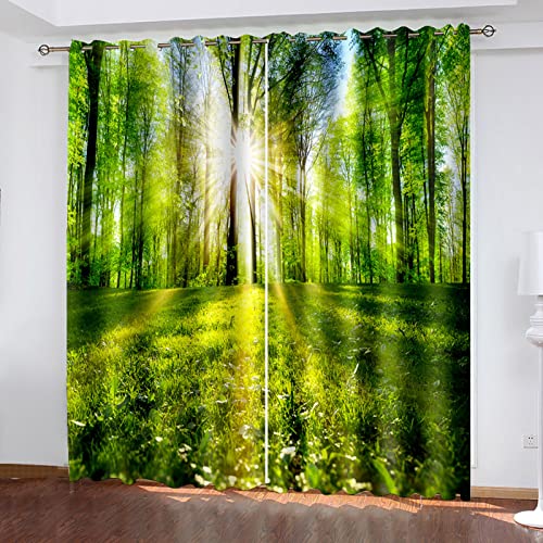 Blickdichter Vorhang 3D Mit Ösen Curtain Natürliche Küstenlandschaft 260cm lang 140cm Breite 2 Stück Verdunkelungsvorhang Mit Blickdichten Farben Gardinen Blickdicht Für Das Wohnzimmer Schlafzimmer von Generic