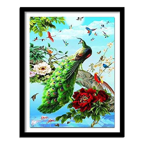 DIY 5D Diamond Painting Set,Tiere Pfau Voll Bohrer Diamant Malerei Bilder Kits für Erwachsene Kinder,Kristall Strass Stickerei Kreuzstich Arts Craft für Home Wall Décor Geschenk 40x60cm von Generic